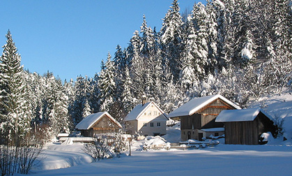 Bočkova Žaga in Mlin